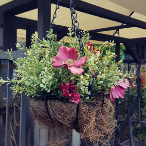 hanging basket