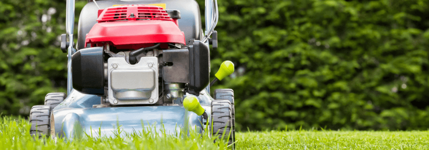 Spring Gardening, mowing the lawn