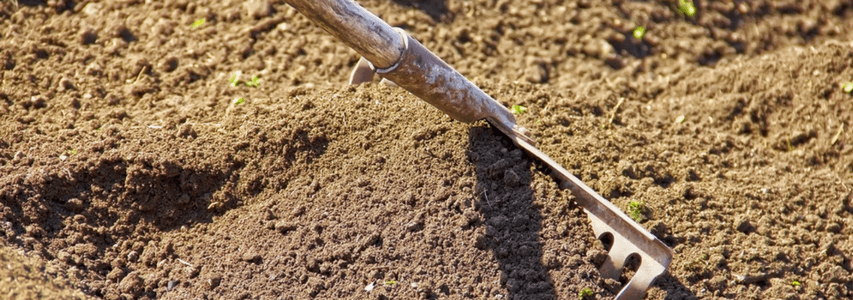 Spring Gardening, racking soil