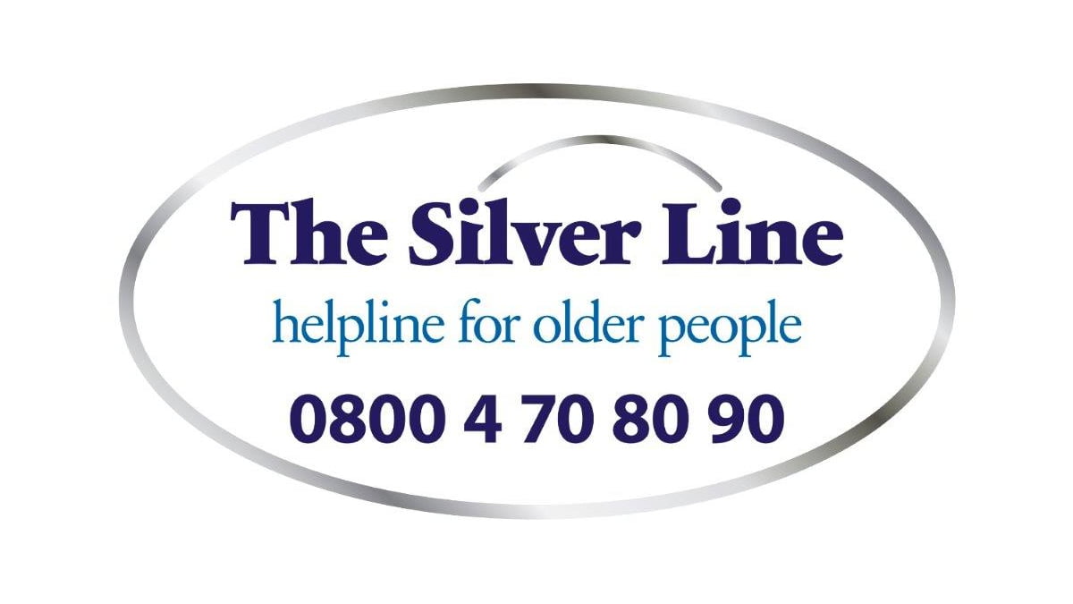 Silver line logo