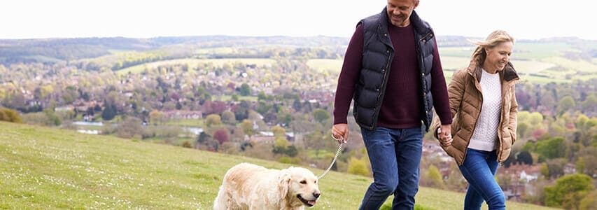 How is Brexit affecting rates and house prices?