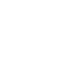 norton-icon
